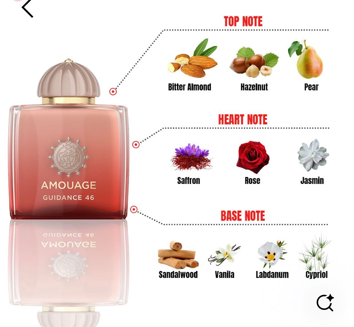 Amouage Guidance 46
